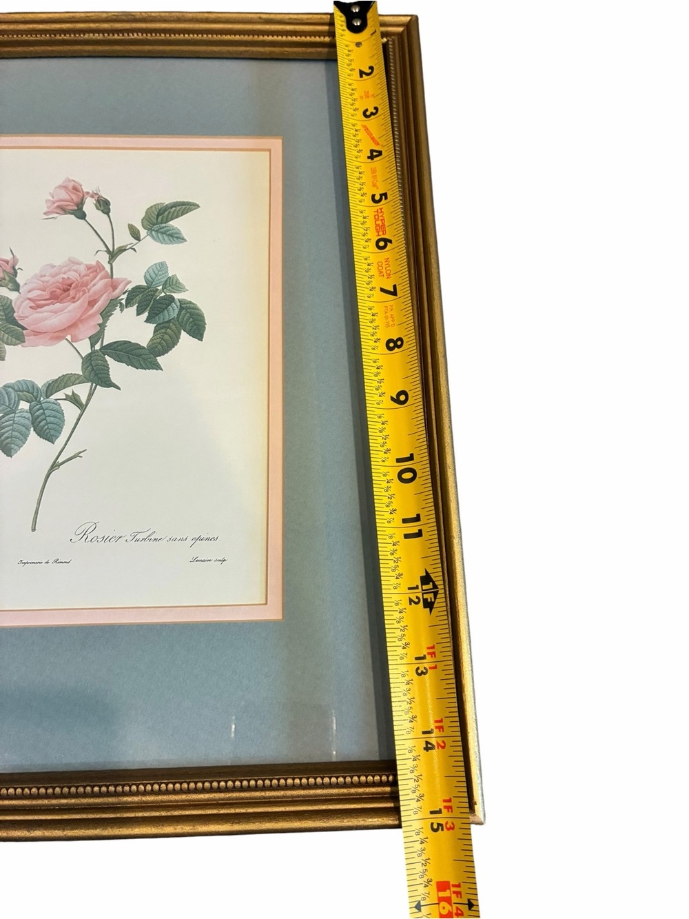 Antique French Framed Botanical Rose Print by Pierre-Joseph Redoute Feminine - Picture 2 of 7